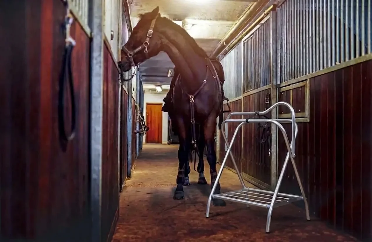 Saddled up horse in a horse stable with saddle stand