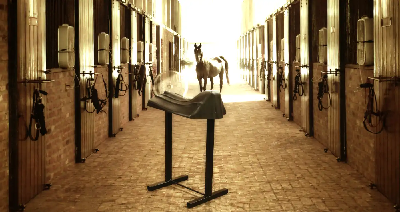 Stable aisle with a saddle stand and horse in the background